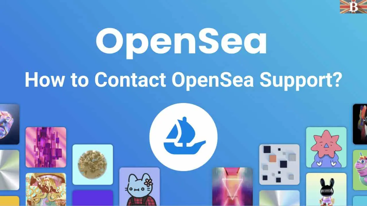 How to Contact OpenSea Customer Support?