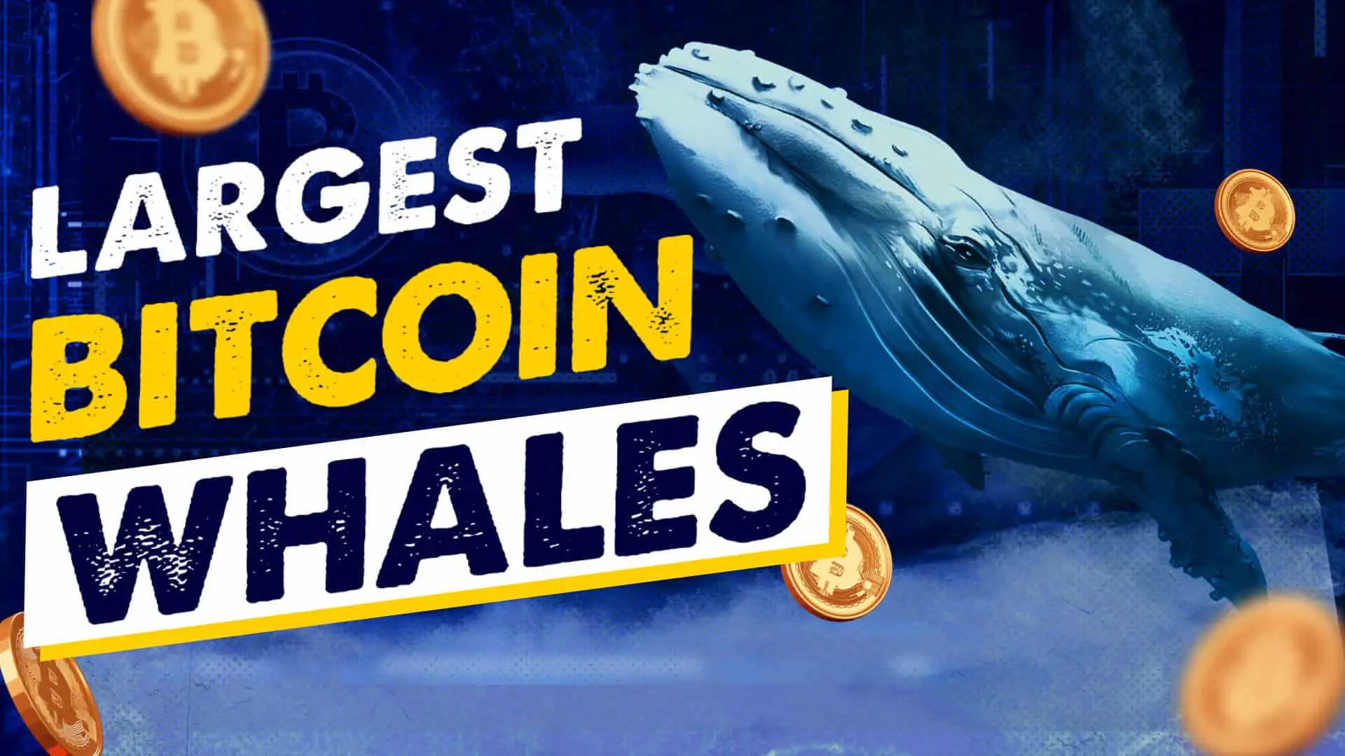 Who are the Biggest Bitcoin Whales?