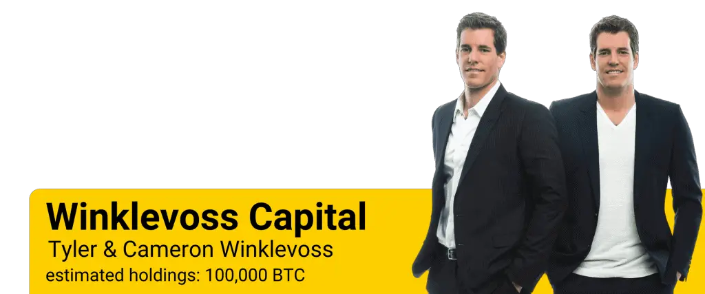 How many Bitcoins does Tyler and Cameron Winklevoss own?