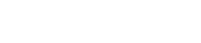 Ledger Nano Plus Wallet